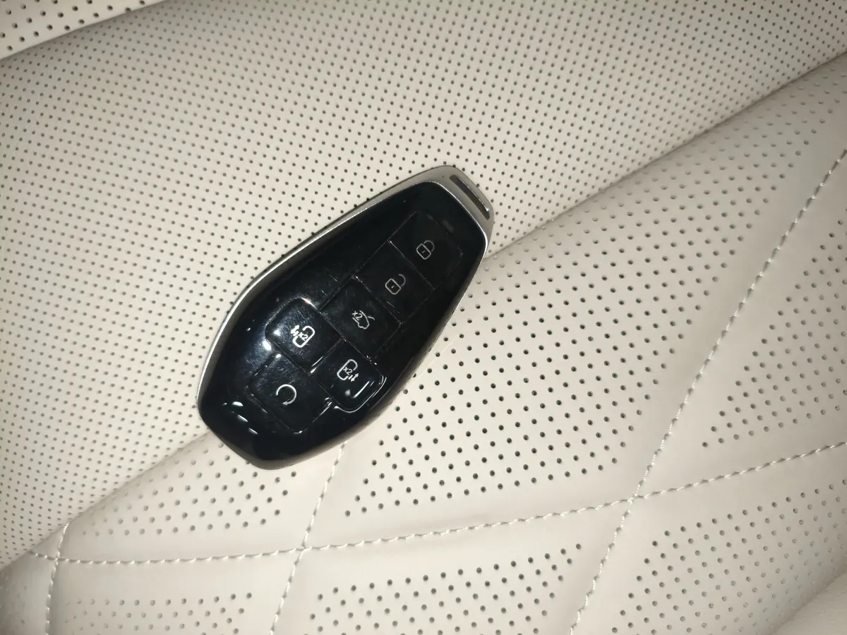 2025 Denza D9 1.5T 156HP L4 E-CVT PHEV 40KWH,autocango,china used car exporter,china ev exporter,chinese used car exporter,chinese used ev exporter