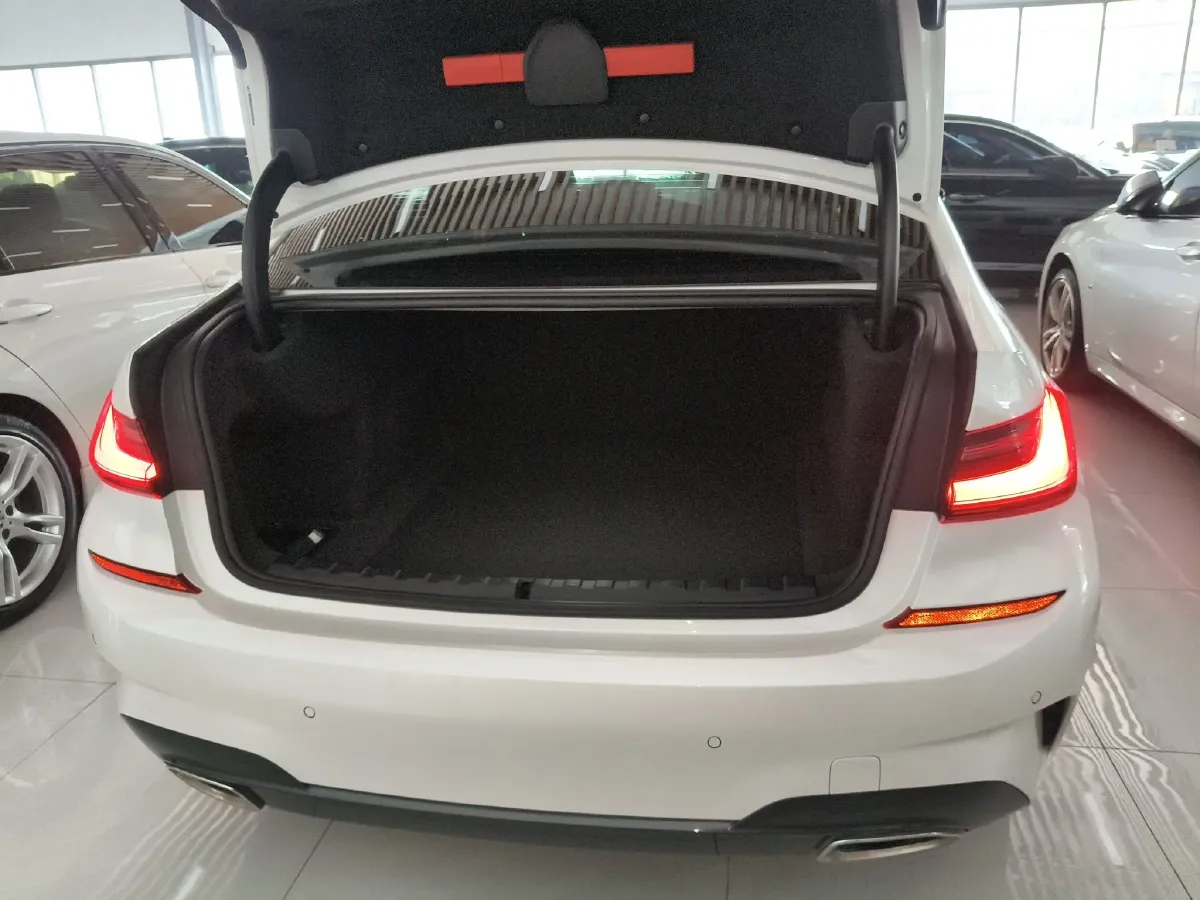 2020 BMW 3 Series 2.0T 184HP L4 8AT,autocango,china used car exporter,china ev exporter,chinese used car exporter,chinese used ev exporter