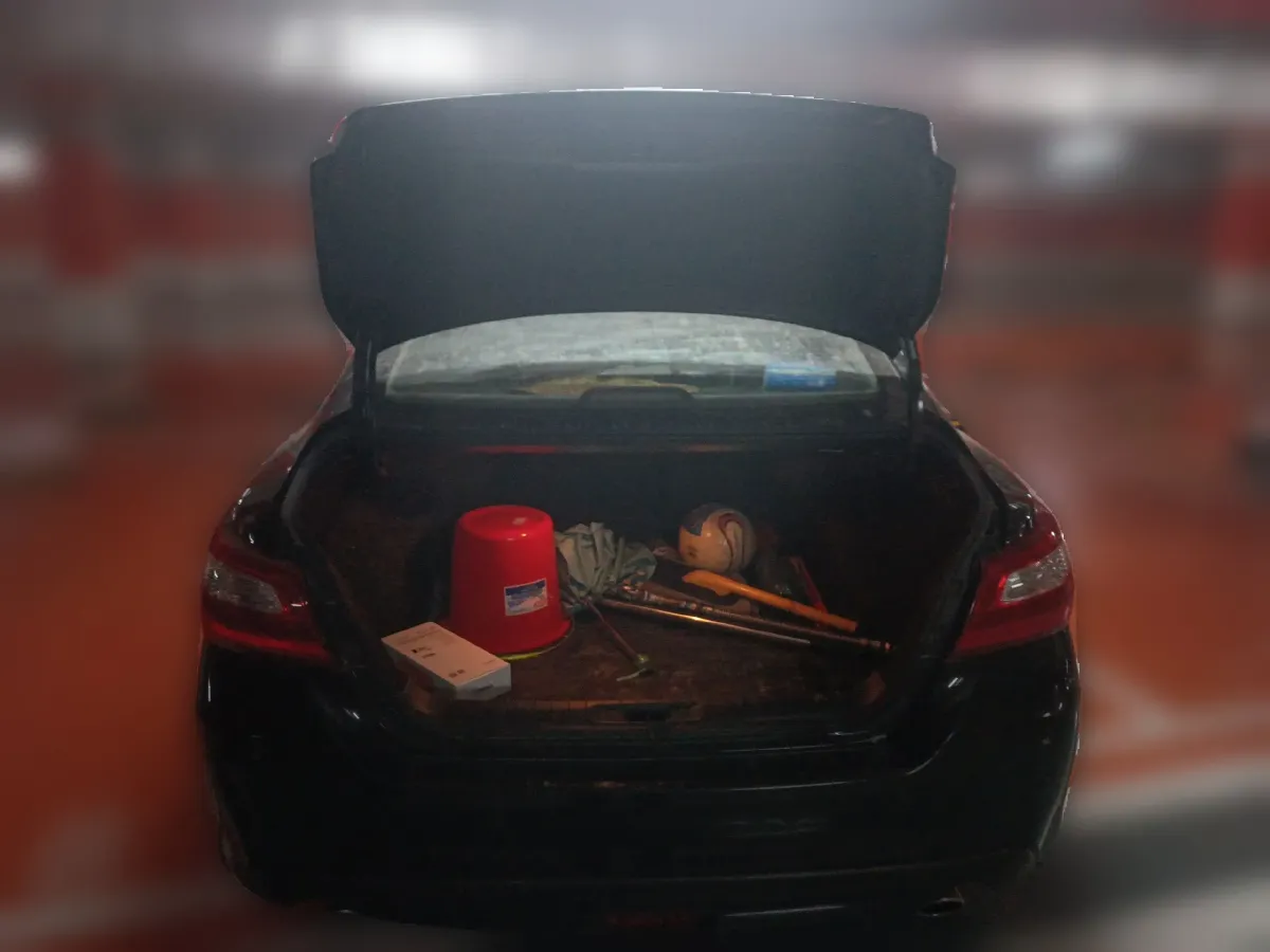 2018 Geely Emgrand BEV 43.5KWH,autocango,china used car exporter,china ev exporter,chinese used car exporter,chinese used ev exporter