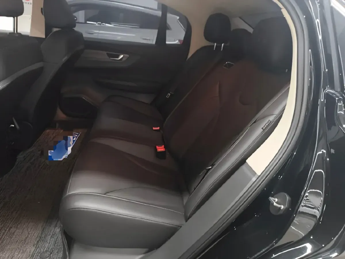 2023 HongQi E-QM5 BEV 54KWH,autocango,china used car exporter,china ev exporter,chinese used car exporter,chinese used ev exporter