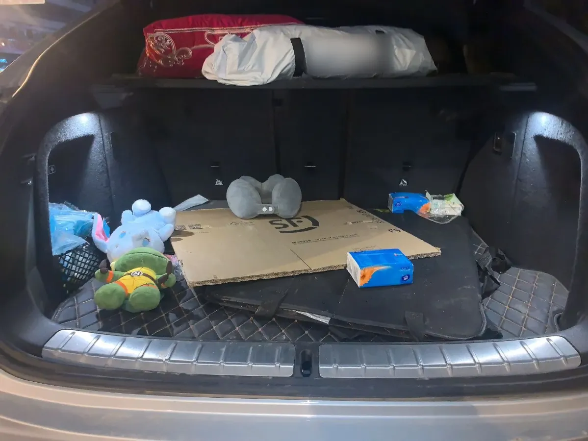 2019 BMW X4 2.0T 184HP L4 8AT,autocango,china used car exporter,china ev exporter,chinese used car exporter,chinese used ev exporter