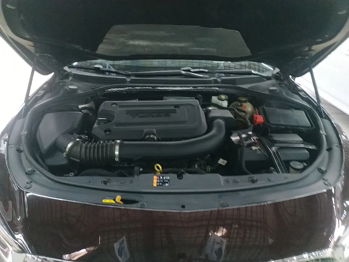 2022 HongQi HS7 2.0T 252HP L4 7DCT,autocango,china used car exporter,china ev exporter,chinese used car exporter,chinese used ev exporter