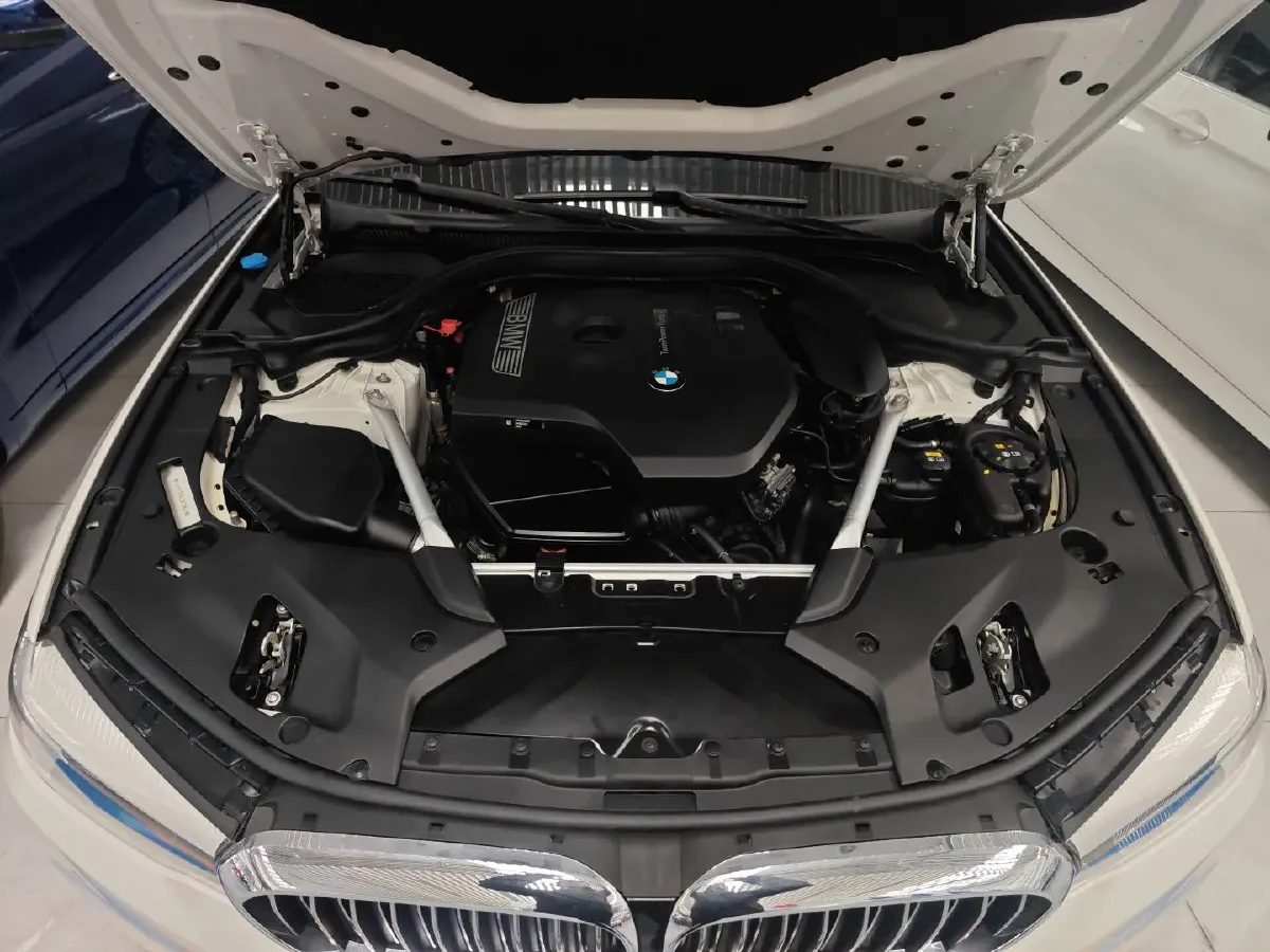 2020 BMW 5 Series 2.0T 184HP L4 8AT,autocango,china used car exporter,china ev exporter,chinese used car exporter,chinese used ev exporter