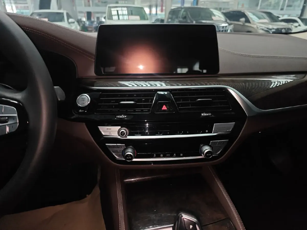 2020 BMW 5 Series 2.0T 184HP L4 8AT,autocango,china used car exporter,china ev exporter,chinese used car exporter,chinese used ev exporter