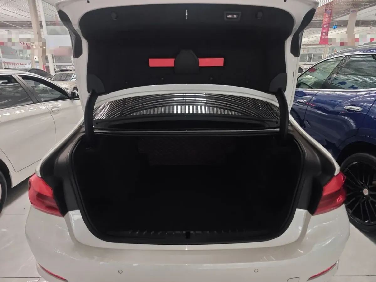 2020 BMW 5 Series 2.0T 184HP L4 8AT,autocango,china used car exporter,china ev exporter,chinese used car exporter,chinese used ev exporter