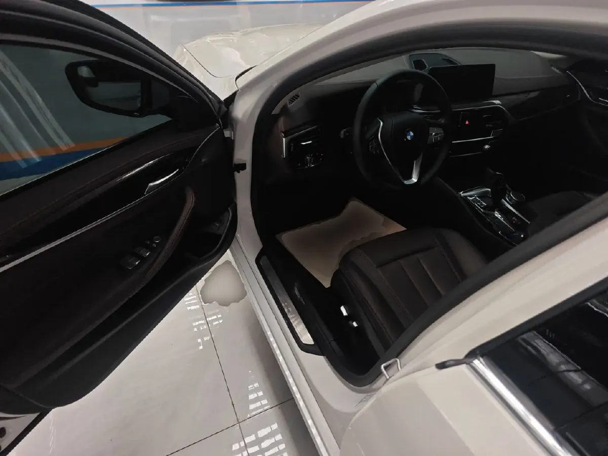 2020 BMW 5 Series 2.0T 184HP L4 8AT,autocango,china used car exporter,china ev exporter,chinese used car exporter,chinese used ev exporter