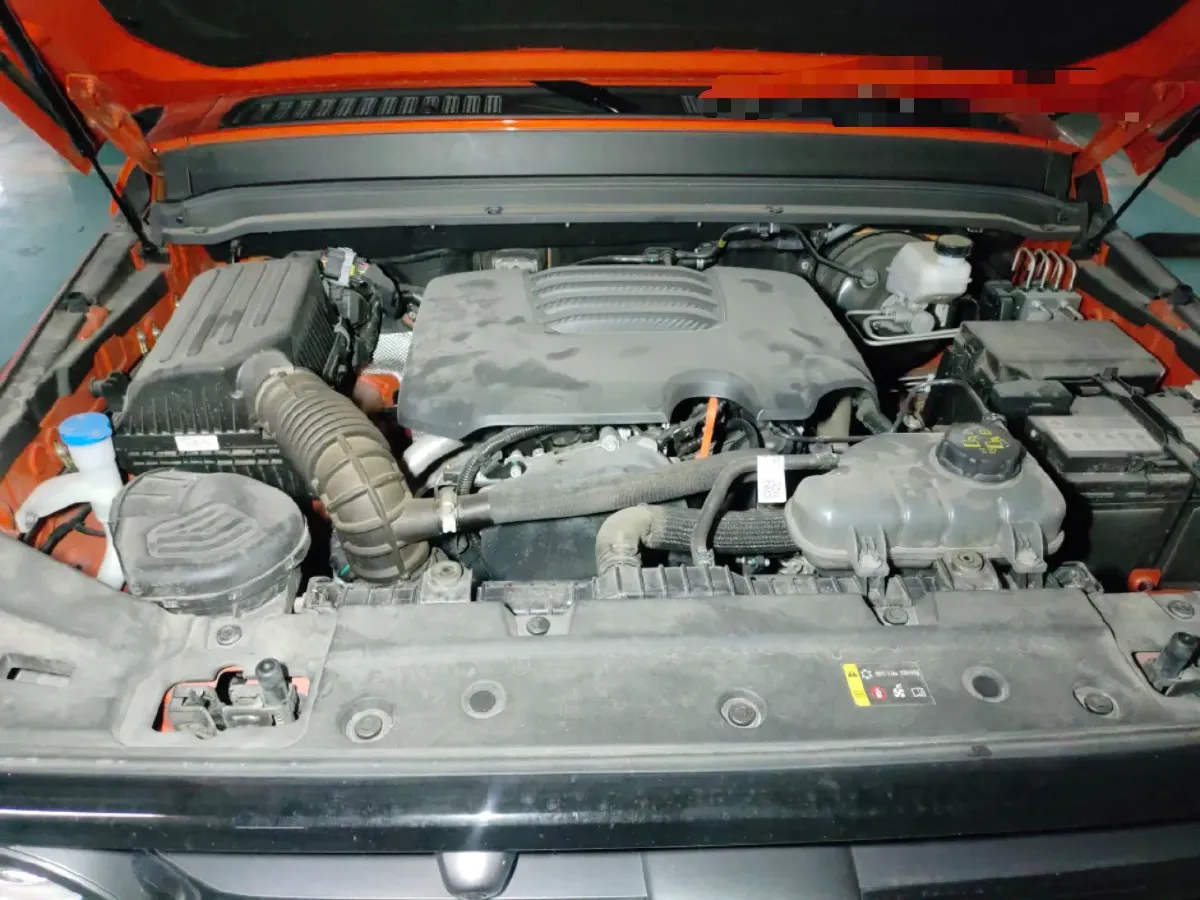 2024 Tank 300 2.0T 227HP L4 8AT,autocango,china used car exporter,china ev exporter,chinese used car exporter,chinese used ev exporter