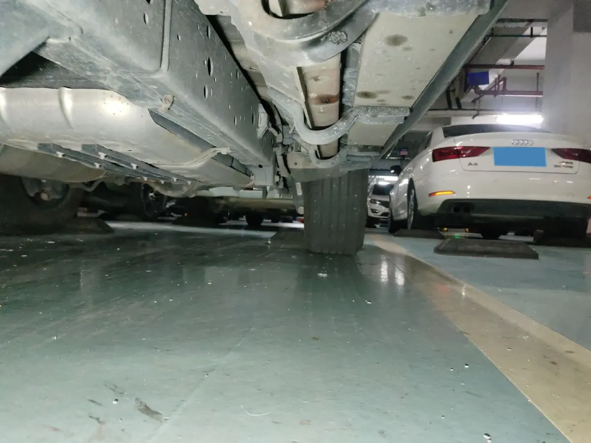 2024 Tank 300 2.0T 227HP L4 8AT,autocango,china used car exporter,china ev exporter,chinese used car exporter,chinese used ev exporter