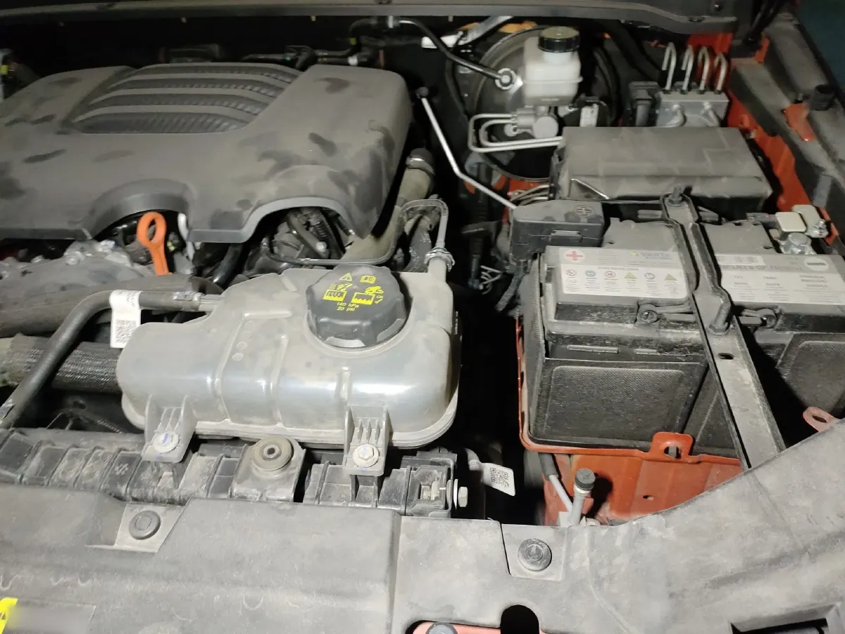 2024 Tank 300 2.0T 227HP L4 8AT,autocango,china used car exporter,china ev exporter,chinese used car exporter,chinese used ev exporter