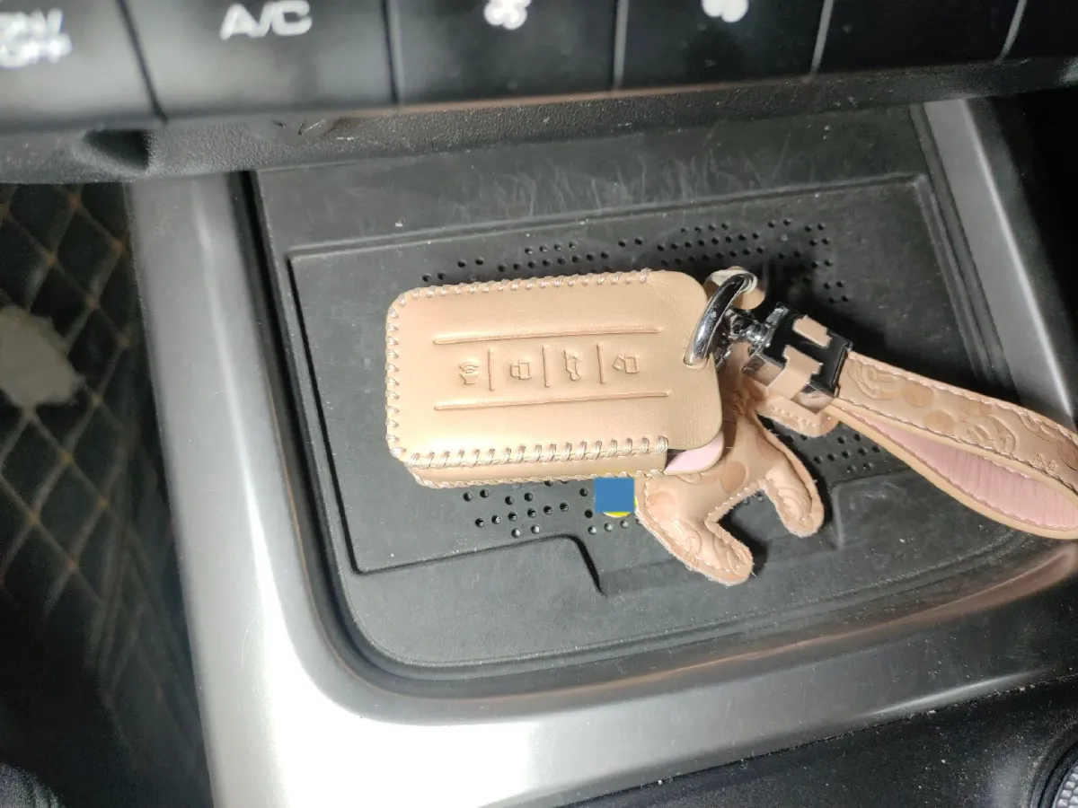 2024 Tank 300 2.0T 227HP L4 8AT,autocango,china used car exporter,china ev exporter,chinese used car exporter,chinese used ev exporter