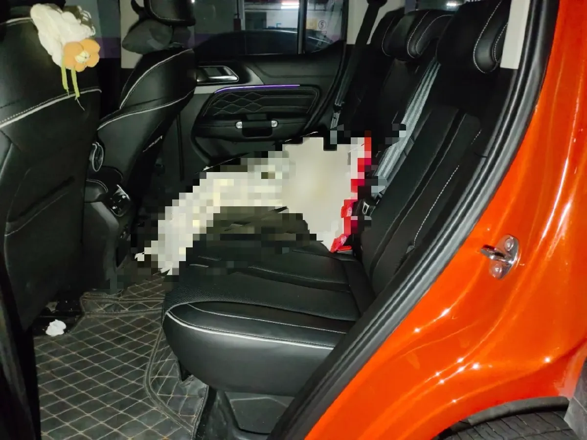 2024 Tank 300 2.0T 227HP L4 8AT,autocango,china used car exporter,china ev exporter,chinese used car exporter,chinese used ev exporter