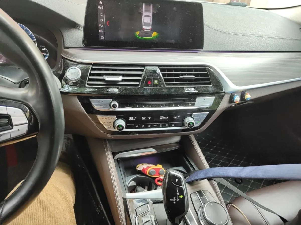 2019 BMW 5 Series 2.0T 184HP L4 8AT PHEV 13KWH,autocango,china used car exporter,china ev exporter,chinese used car exporter,chinese used ev exporter