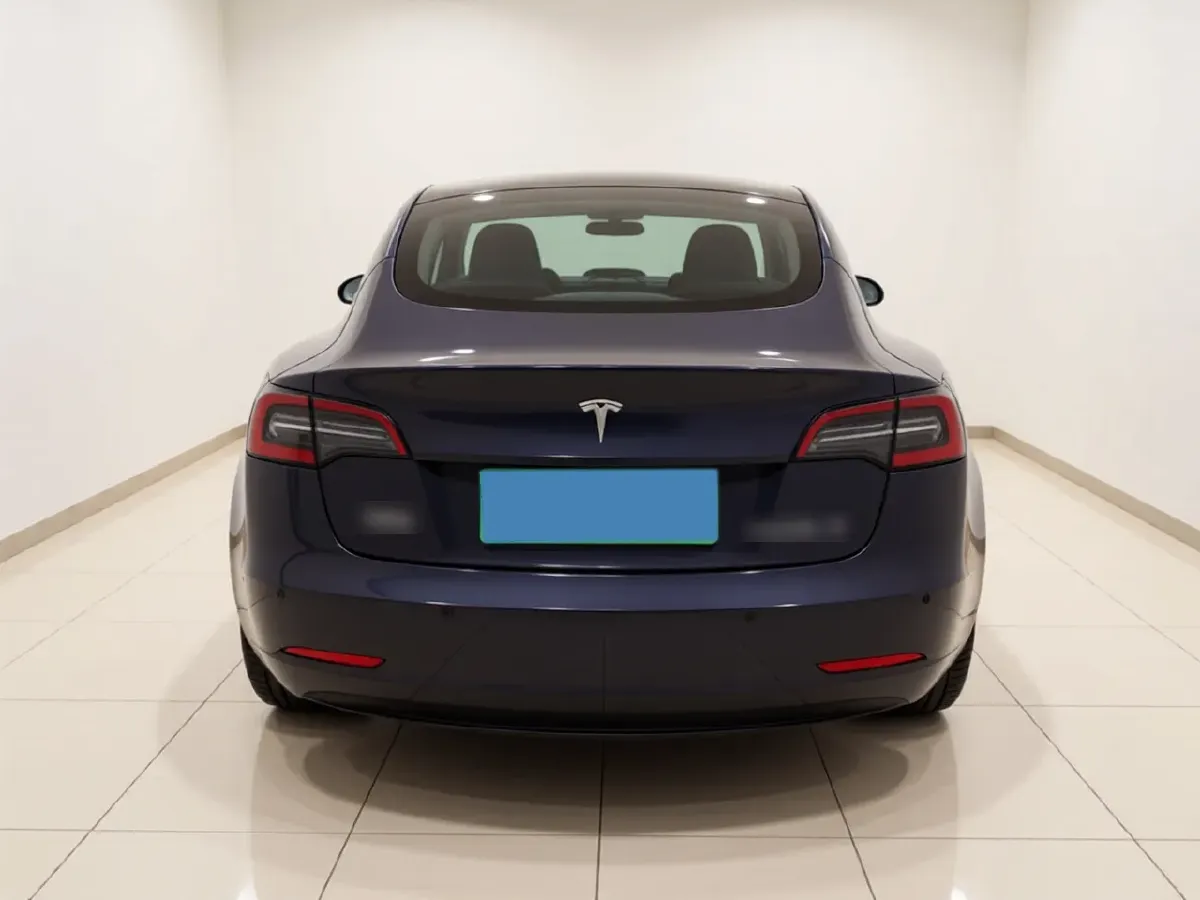 2020 Tesla Model 3 BEV 55KWH,autocango,china used car exporter,china ev exporter,chinese used car exporter,chinese used ev exporter