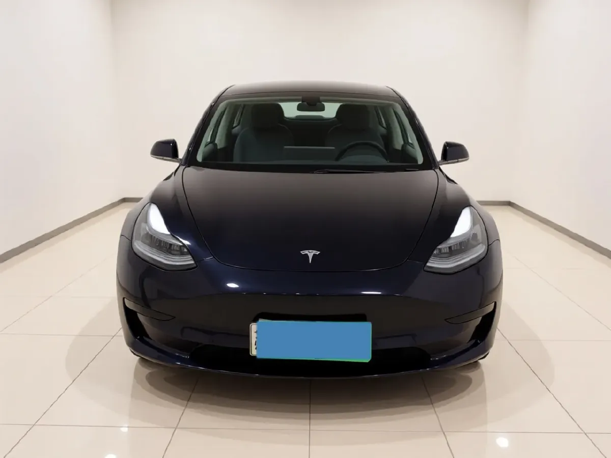 2020 Tesla Model 3 BEV 55KWH,autocango,china used car exporter,china ev exporter,chinese used car exporter,chinese used ev exporter