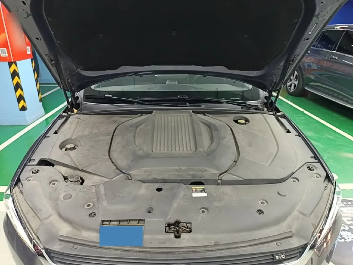 2019 BYD Qin Pro BEV 69.5KWH,autocango,china used car exporter,china ev exporter,chinese used car exporter,chinese used ev exporter