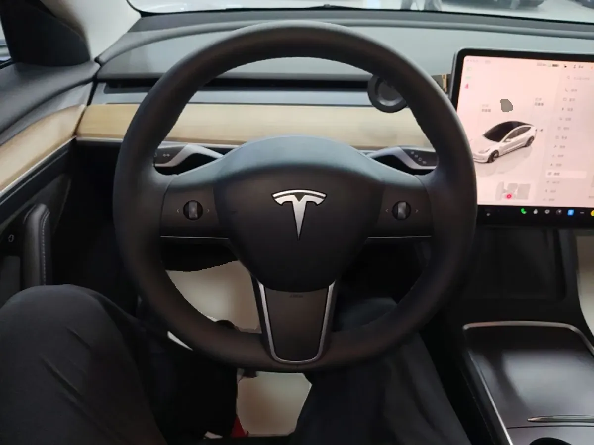 2022 Tesla Model 3 BEV 60KWH,autocango,china used car exporter,china ev exporter,chinese used car exporter,chinese used ev exporter