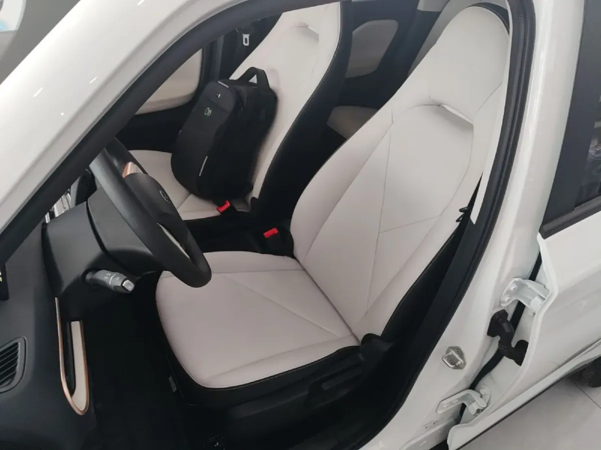 2025 Chery Duomi BEV,autocango,china used car exporter,china ev exporter,chinese used car exporter,chinese used ev exporter