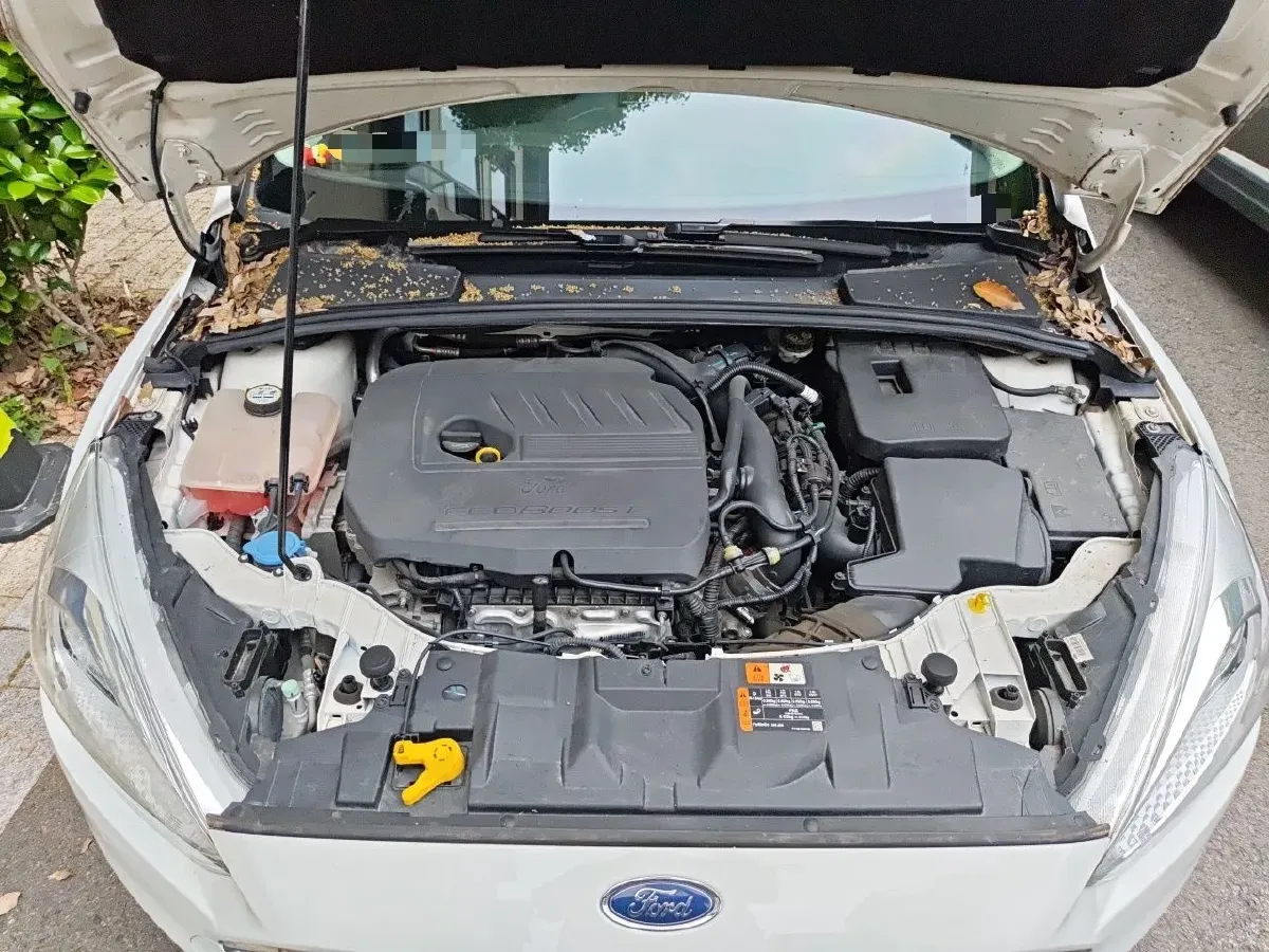 2017 Ford Focus 1.5T 181HP L4 6AT,autocango,china used car exporter,china ev exporter,chinese used car exporter,chinese used ev exporter