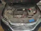 2016 Honda Elysioin 2.4L 186HP L4 CVT