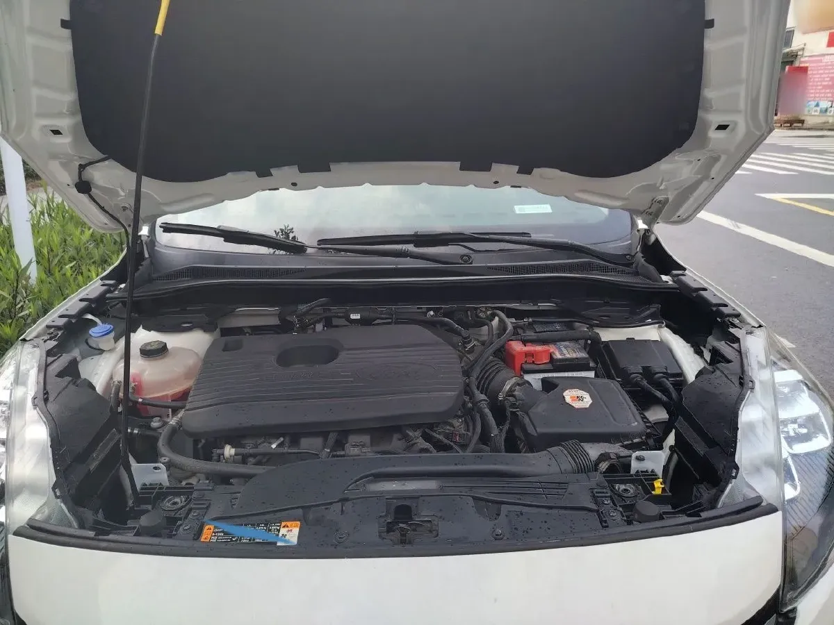 2020 Ford Escape 2.0T 248HP L4 8AT,autocango,china used car exporter,china ev exporter,chinese used car exporter,chinese used ev exporter