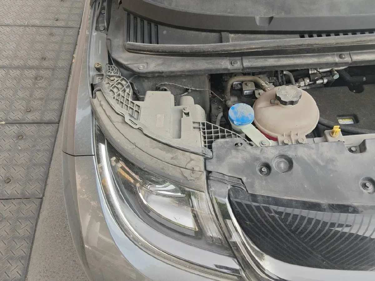 2023 BYD Dolphin BEV 44.928KWH,autocango,china used car exporter,china ev exporter,chinese used car exporter,chinese used ev exporter