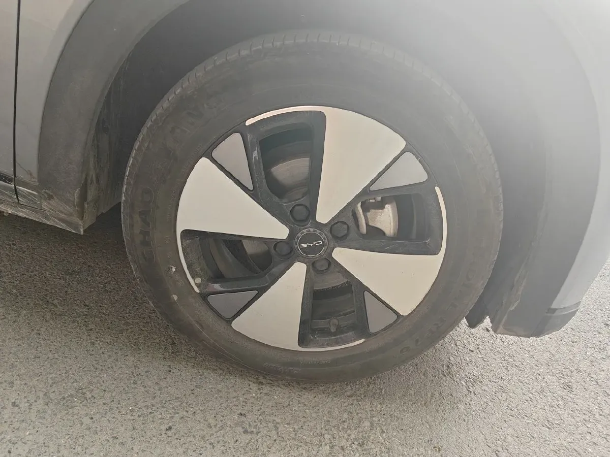 2023 BYD Dolphin BEV 44.928KWH,autocango,china used car exporter,china ev exporter,chinese used car exporter,chinese used ev exporter