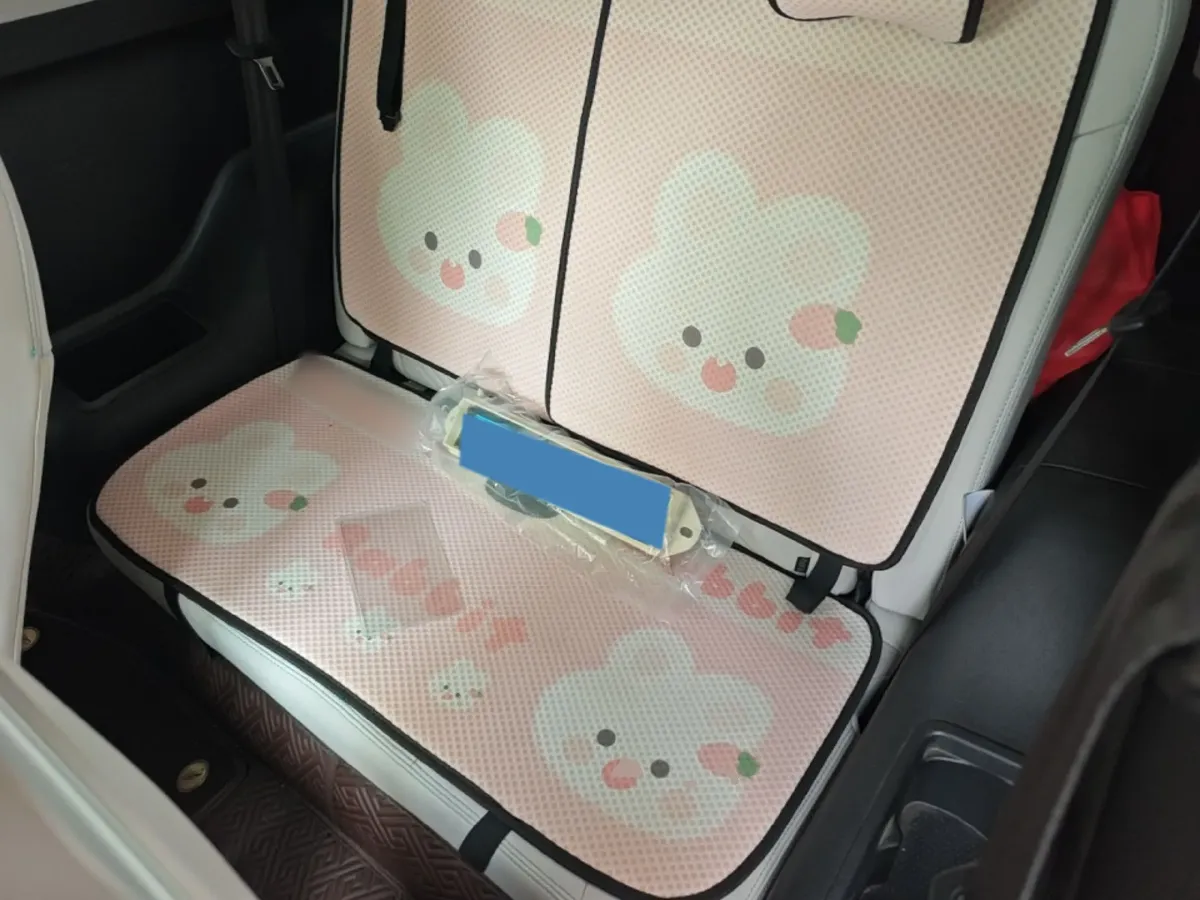 2021 Chery Little Ant BEV 30.6KWH,autocango,china used car exporter,china ev exporter,chinese used car exporter,chinese used ev exporter