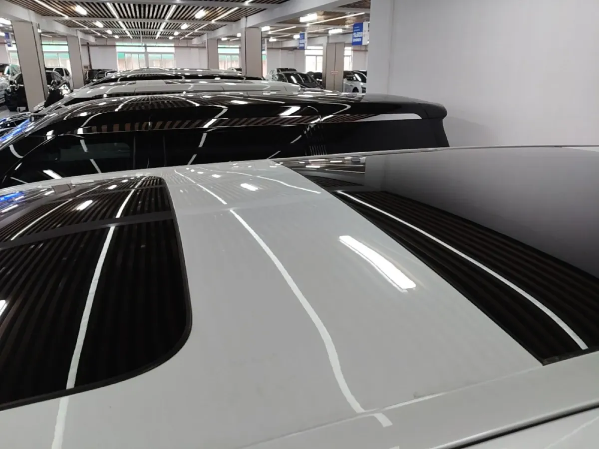 2024 Zeekr 009 BEV 108KWH,autocango,china used car exporter,china ev exporter,chinese used car exporter,chinese used ev exporter