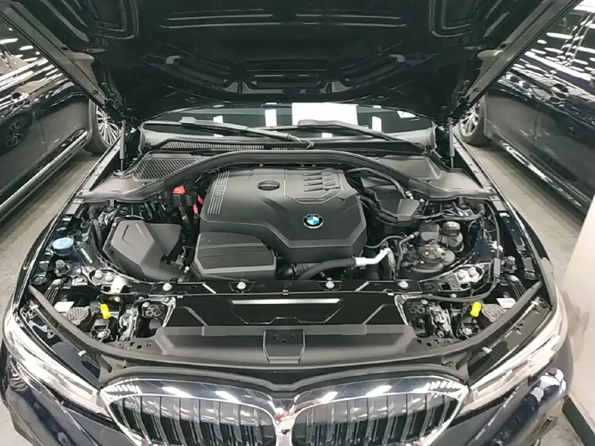 2020 BMW 3 Series 2.0T 156HP L4 8AT,autocango,china used car exporter,china ev exporter,chinese used car exporter,chinese used ev exporter