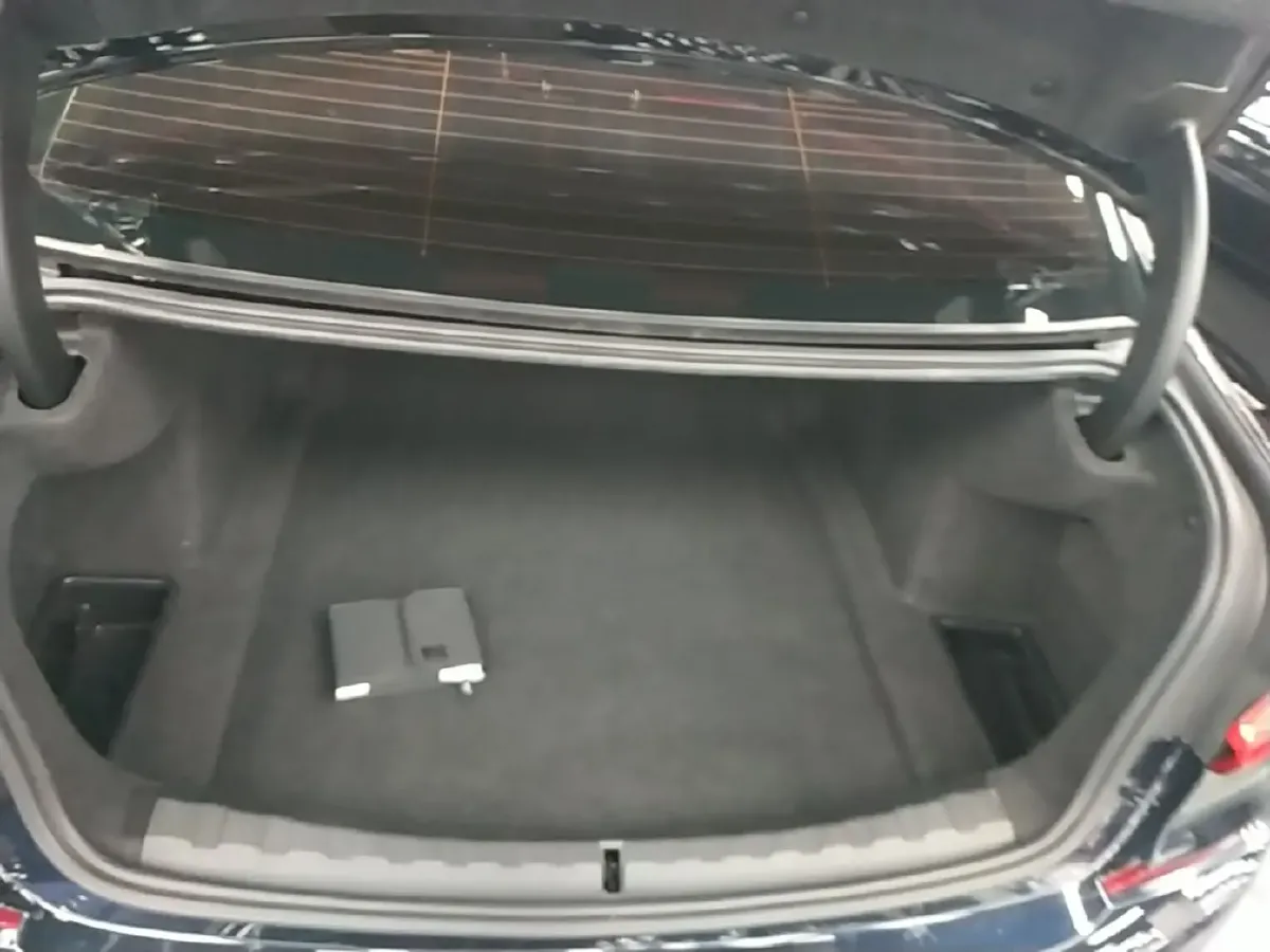 2020 BMW 3 Series 2.0T 156HP L4 8AT,autocango,china used car exporter,china ev exporter,chinese used car exporter,chinese used ev exporter