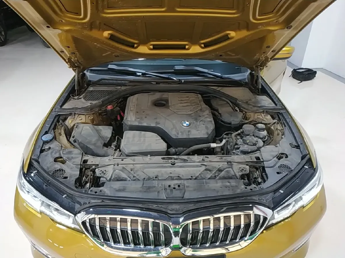 2020 BMW 3 Series 2.0T 184HP L4 8AT,autocango,china used car exporter,china ev exporter,chinese used car exporter,chinese used ev exporter