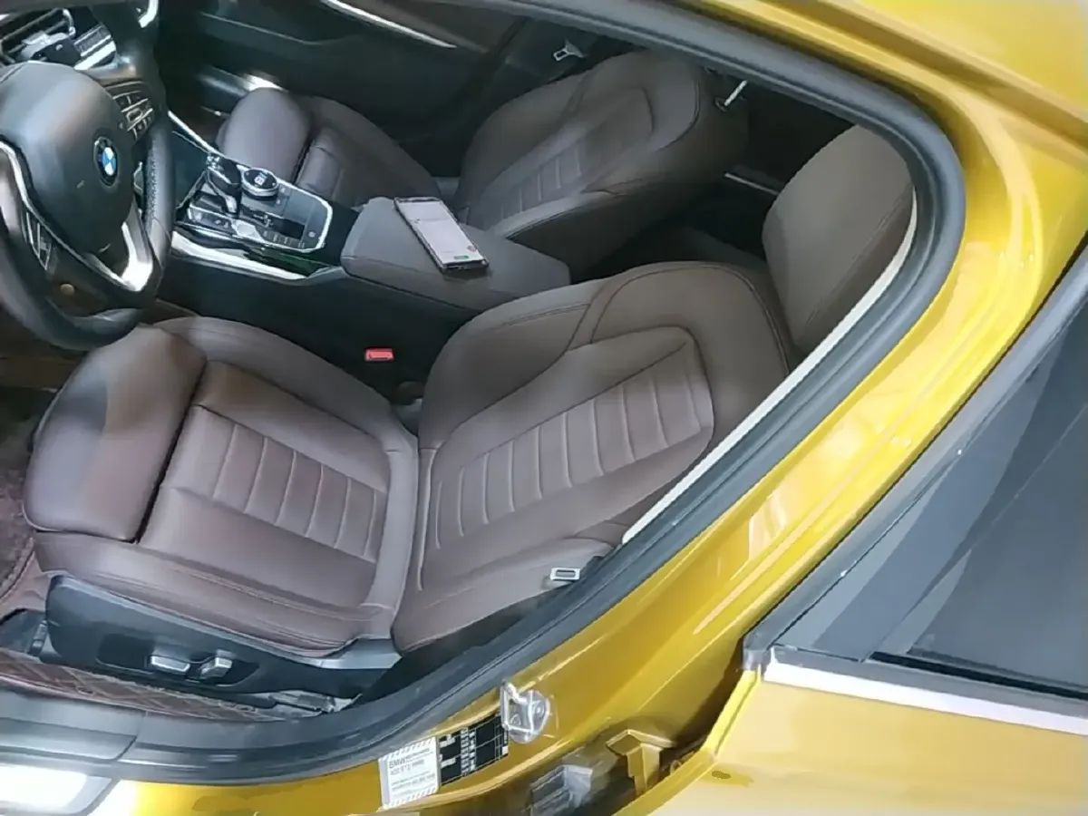 2020 BMW 3 Series 2.0T 184HP L4 8AT,autocango,china used car exporter,china ev exporter,chinese used car exporter,chinese used ev exporter