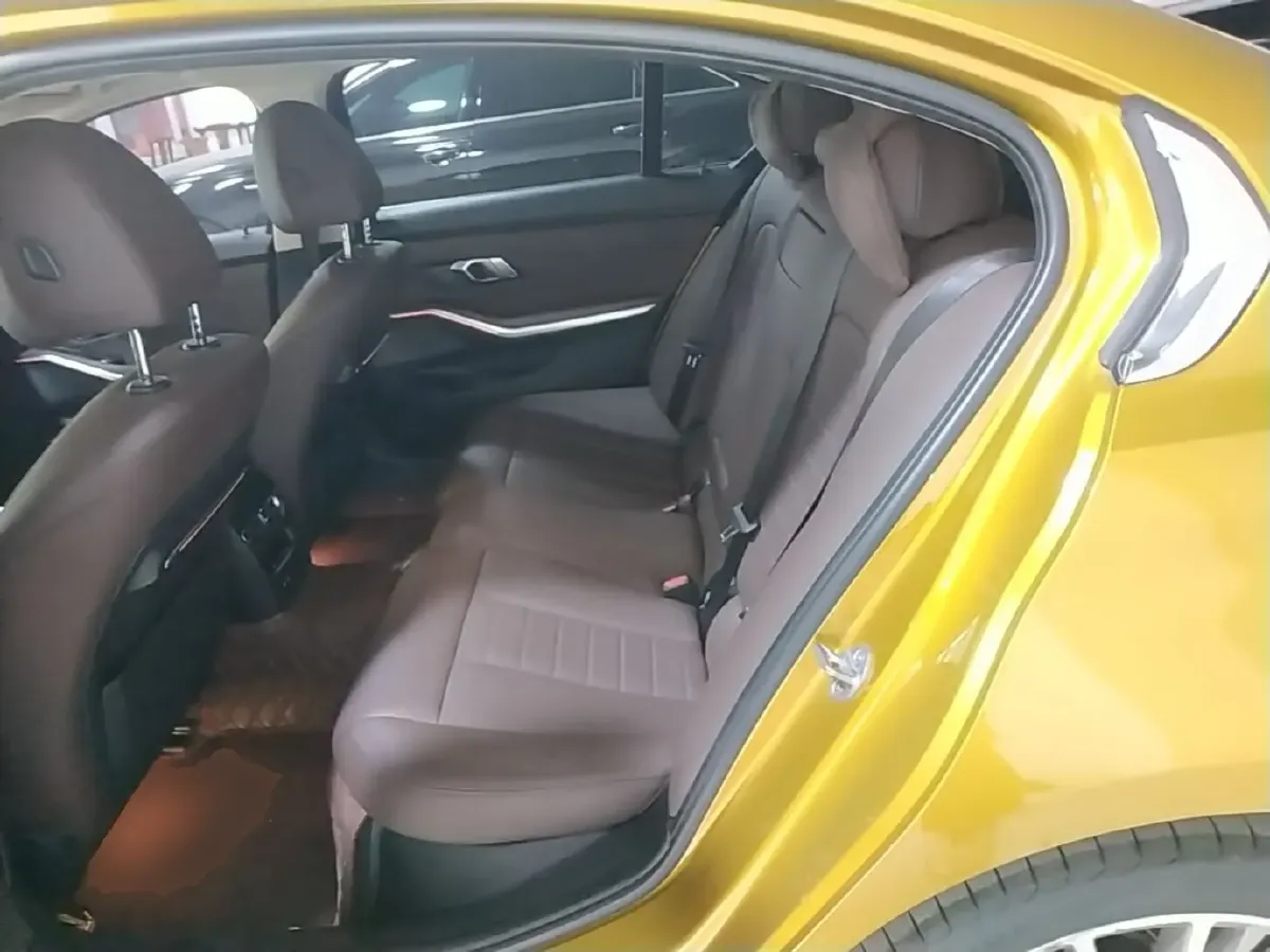 2020 BMW 3 Series 2.0T 184HP L4 8AT,autocango,china used car exporter,china ev exporter,chinese used car exporter,chinese used ev exporter