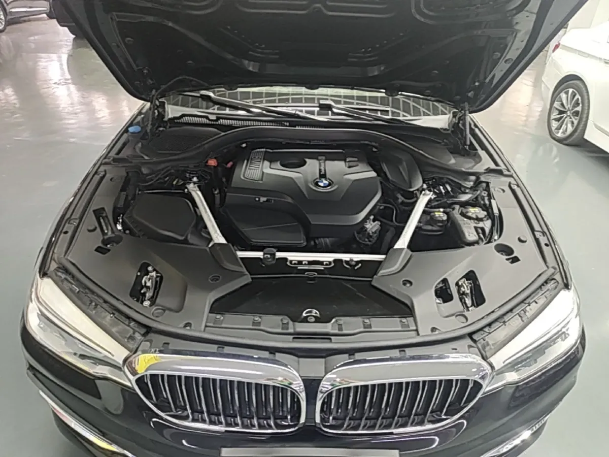 2020 BMW 5 Series 2.0T 252HP L4 8AT,autocango,china used car exporter,china ev exporter,chinese used car exporter,chinese used ev exporter