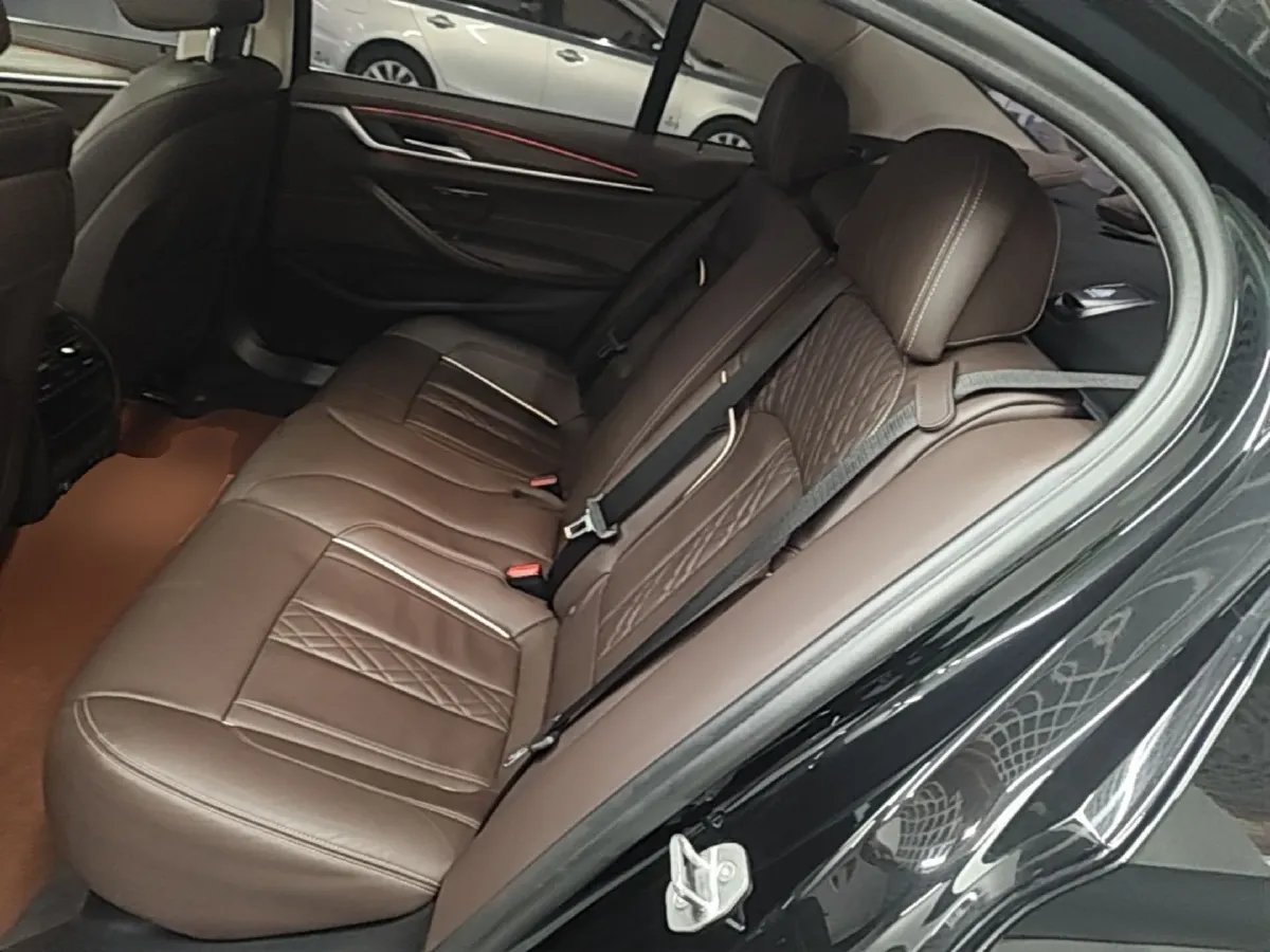 2020 BMW 5 Series 2.0T 252HP L4 8AT,autocango,china used car exporter,china ev exporter,chinese used car exporter,chinese used ev exporter