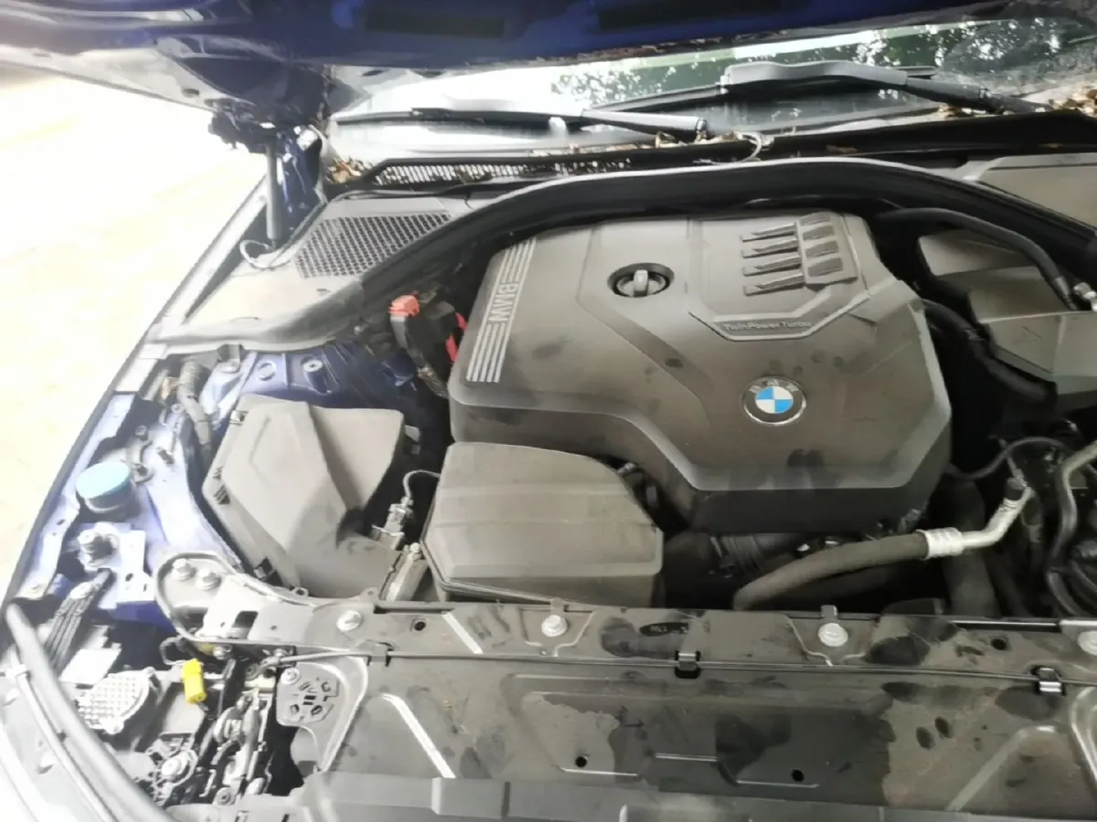 2020 BMW 3 Series 2.0T 184HP L4 8AT,autocango,china used car exporter,china ev exporter,chinese used car exporter,chinese used ev exporter