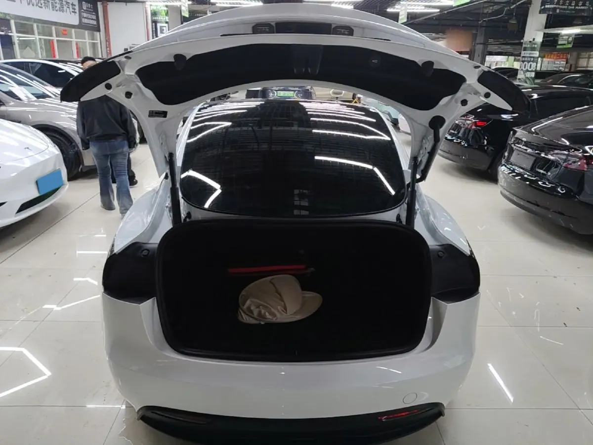 2023 Tesla Model 3 BEV 60KWH,autocango,china used car exporter,china ev exporter,chinese used car exporter,chinese used ev exporter