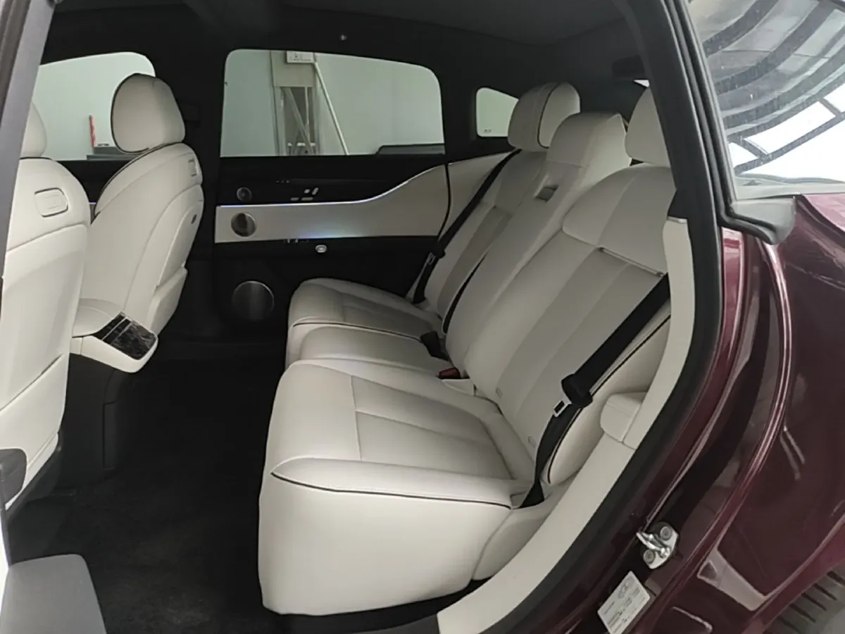 2024 HIMA Stelato S9 BEV 100KWH,autocango,china used car exporter,china ev exporter,chinese used car exporter,chinese used ev exporter