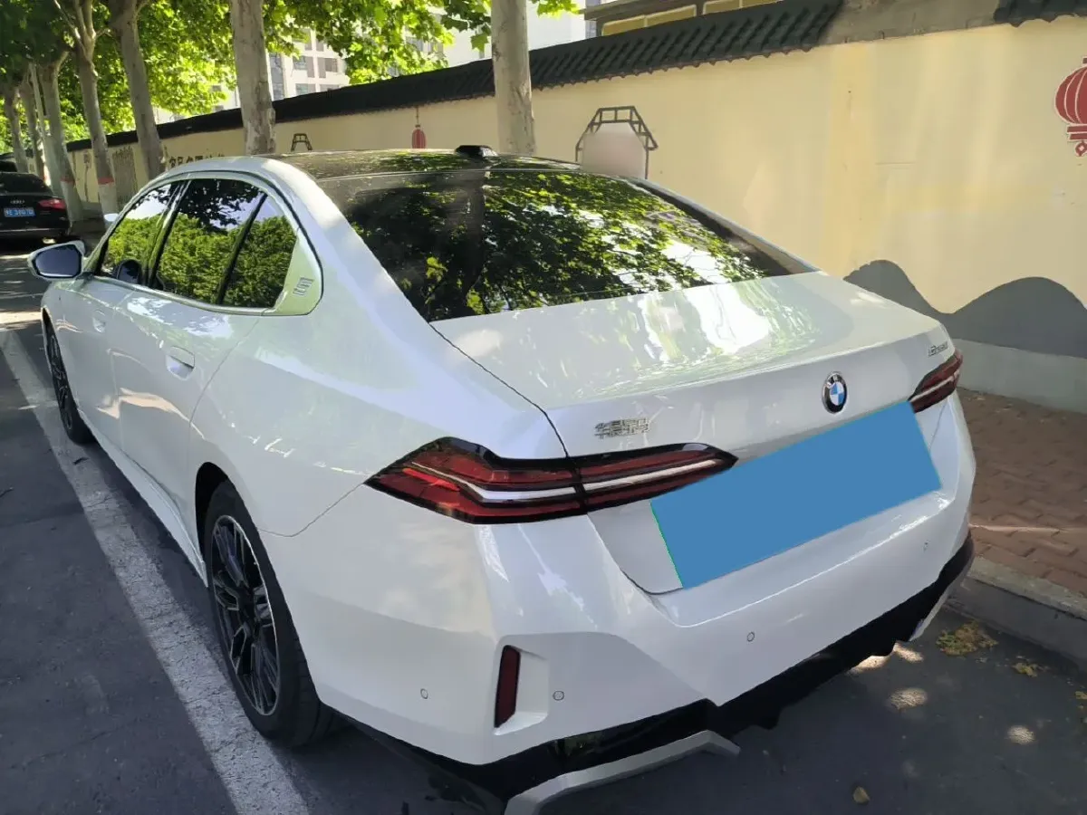 2024 HongQi HQ9 2.0T 252HP L4 8AT,autocango,china used car exporter,china ev exporter,chinese used car exporter,chinese used ev exporter