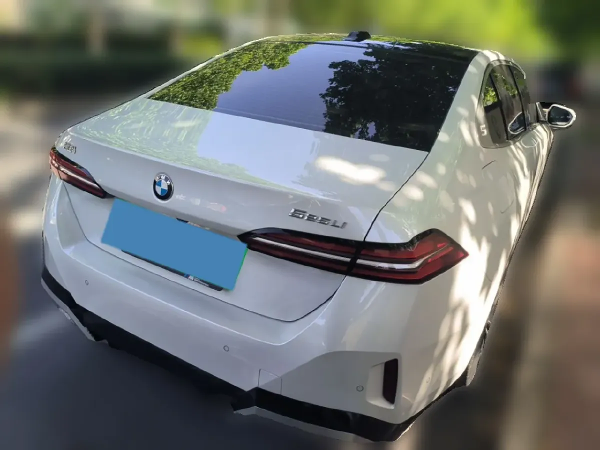 2024 HongQi HQ9 2.0T 252HP L4 8AT,autocango,china used car exporter,china ev exporter,chinese used car exporter,chinese used ev exporter