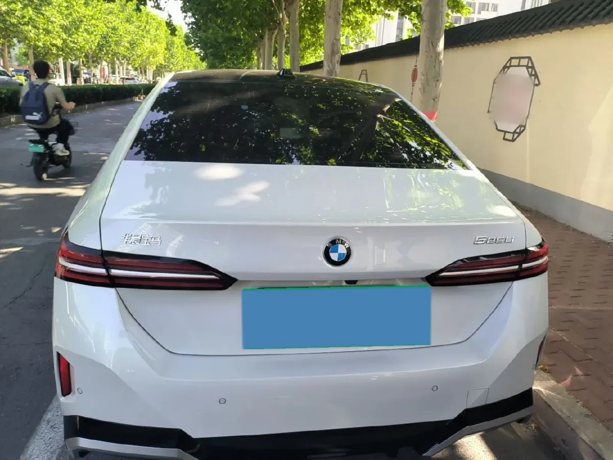 2024 HongQi HQ9 2.0T 252HP L4 8AT,autocango,china used car exporter,china ev exporter,chinese used car exporter,chinese used ev exporter