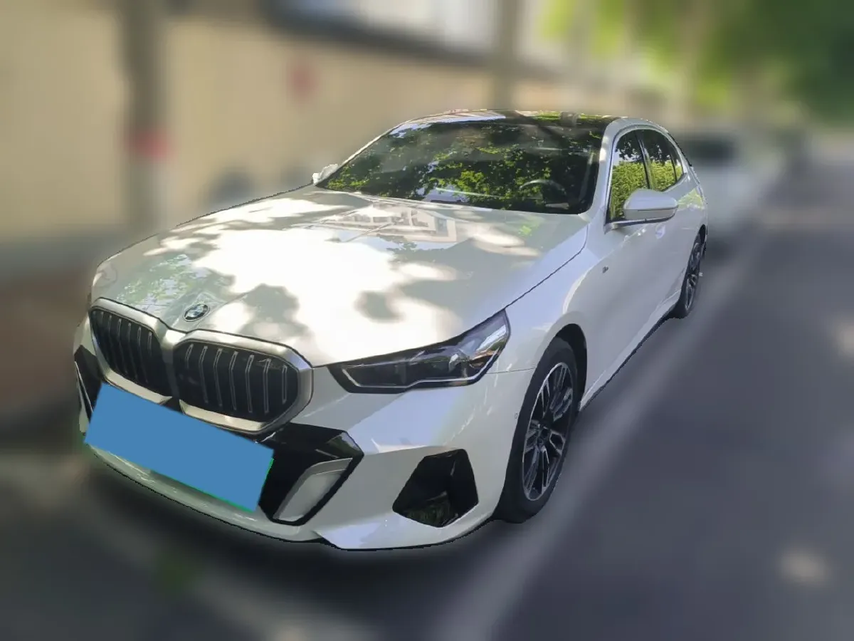 2024 HongQi HQ9 2.0T 252HP L4 8AT,autocango,china used car exporter,china ev exporter,chinese used car exporter,chinese used ev exporter