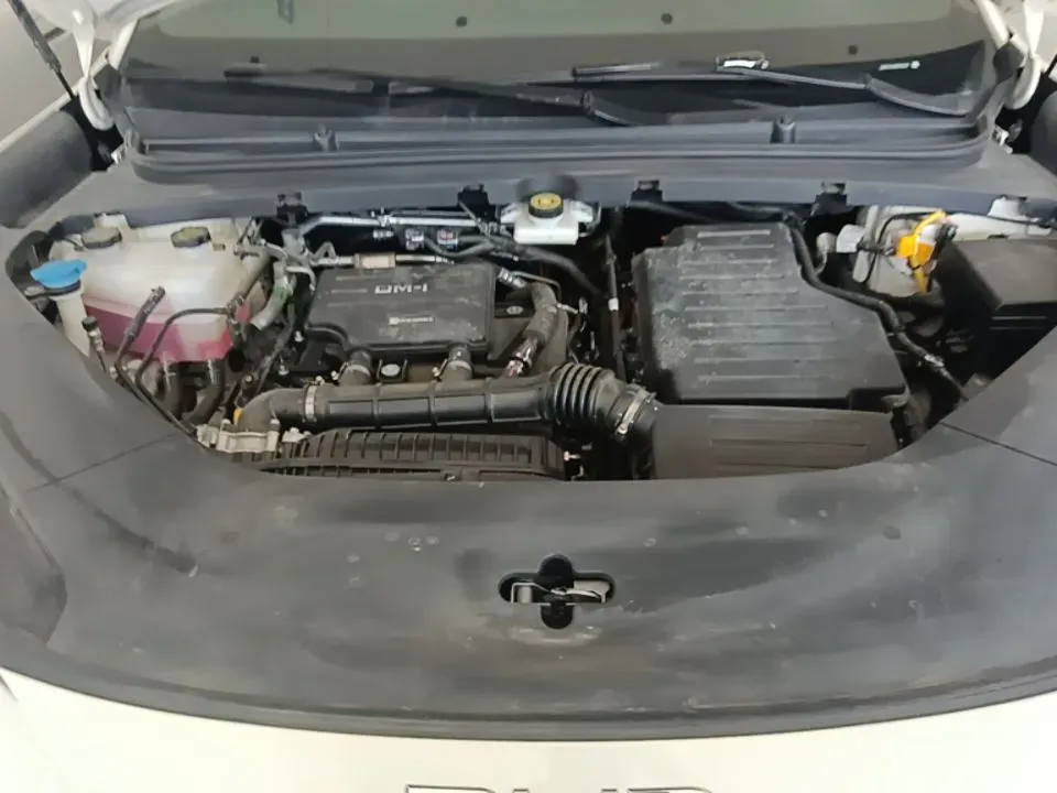 2025 BYD Sea Lion 06 1.5L 101HP L4 E-CVT PHEV,autocango,china used car exporter,china ev exporter,chinese used car exporter,chinese used ev exporter