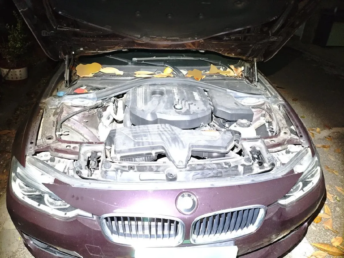 2017 BMW 3 Series 1.5T 136HP L3 8AT,autocango,china used car exporter,china ev exporter,chinese used car exporter,chinese used ev exporter