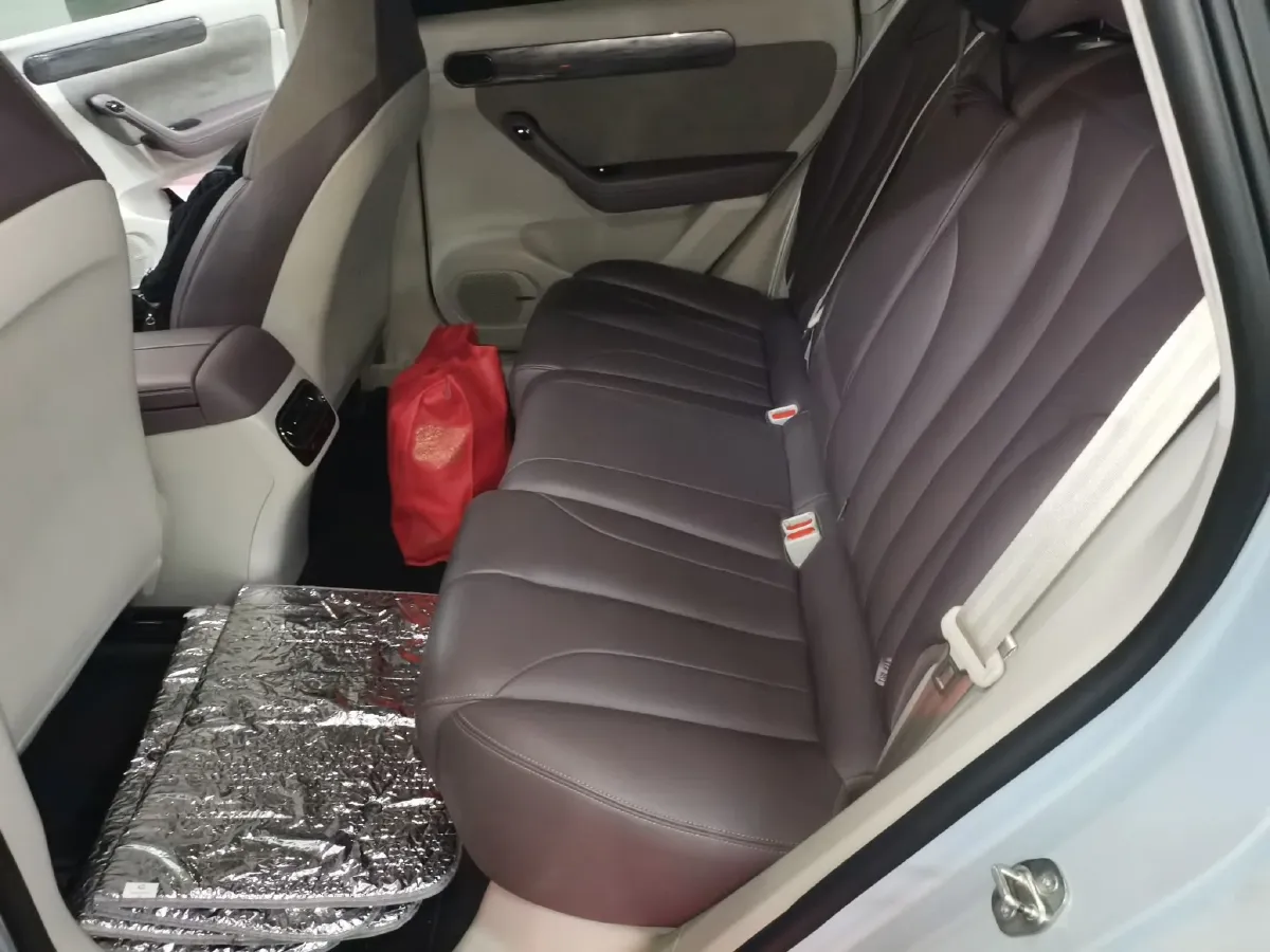 2021 Leapmotor C11 BEV 76.6KWH,autocango,china used car exporter,china ev exporter,chinese used car exporter,chinese used ev exporter