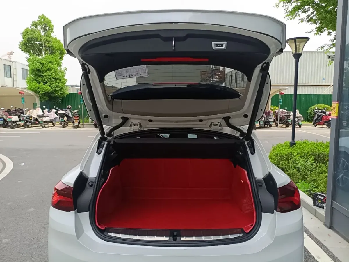 2021 BMW X2 2.0T 192HP L4 7DCT,autocango,china used car exporter,china ev exporter,chinese used car exporter,chinese used ev exporter