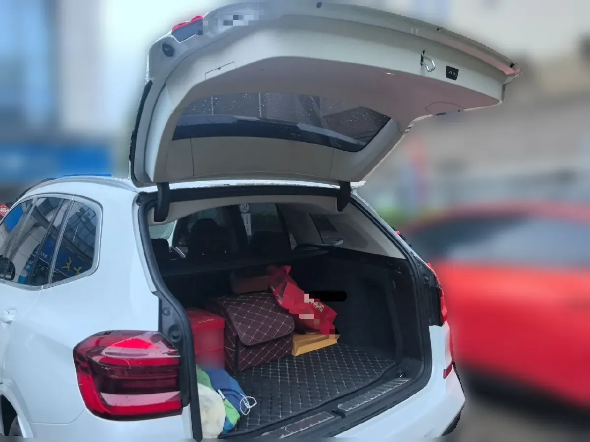 2021 BMW X3 2.0T 224HP L4 8AT,autocango,china used car exporter,china ev exporter,chinese used car exporter,chinese used ev exporter
