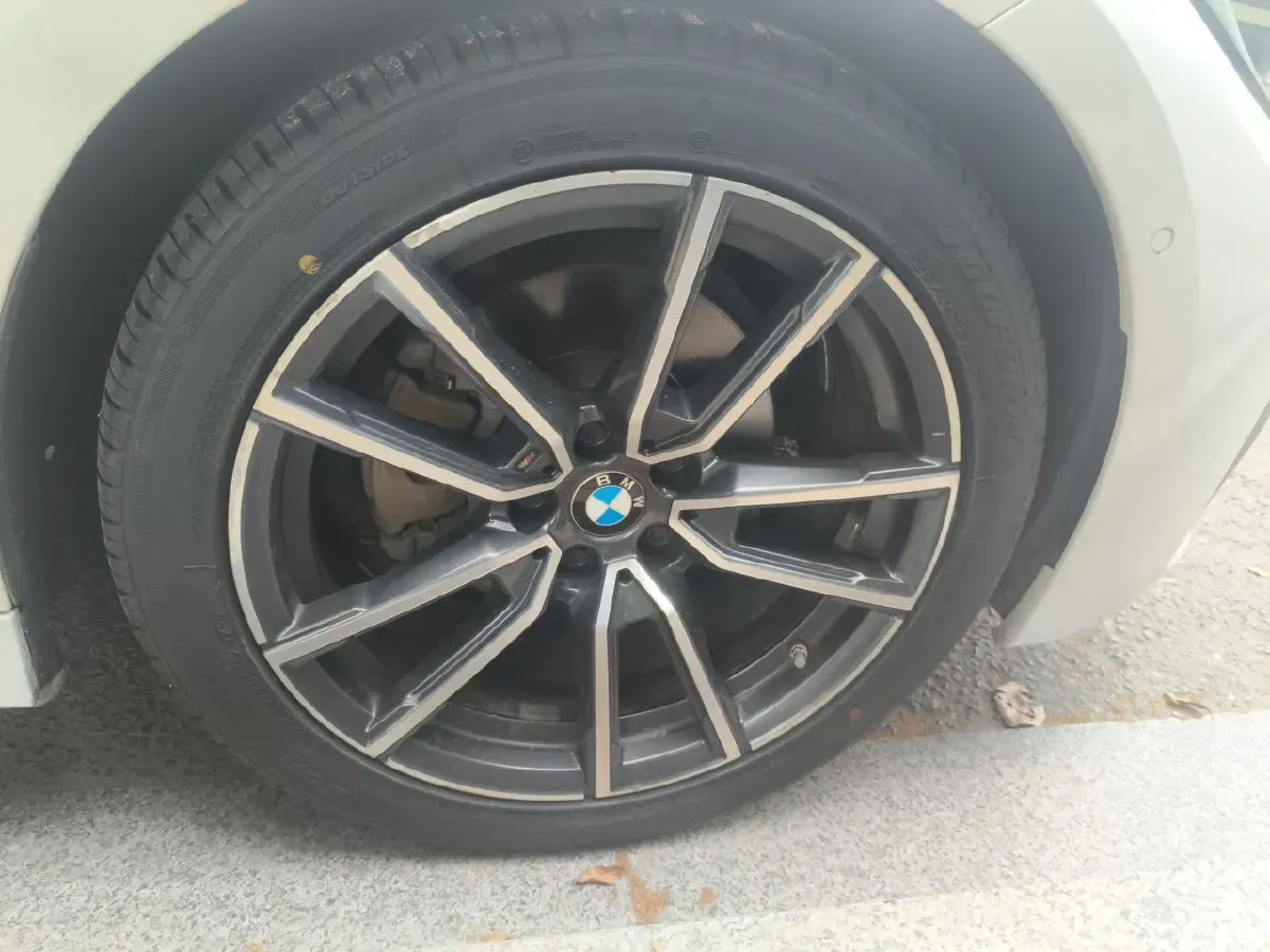 2021 BMW 3 Series 2.0T 156HP L4 8AT,autocango,china used car exporter,china ev exporter,chinese used car exporter,chinese used ev exporter