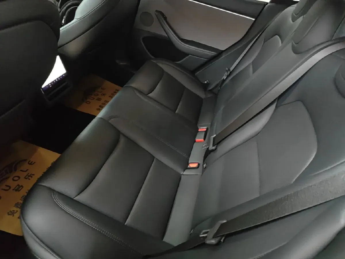 2023 Tesla Model 3 BEV 60KWH,autocango,china used car exporter,china ev exporter,chinese used car exporter,chinese used ev exporter