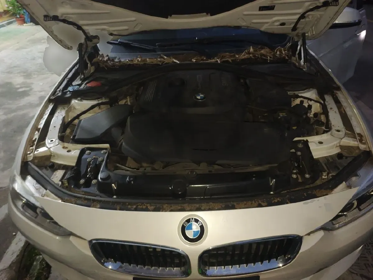 2017 BMW 3 Series 2.0T 184HP L4 8AT,autocango,china used car exporter,china ev exporter,chinese used car exporter,chinese used ev exporter